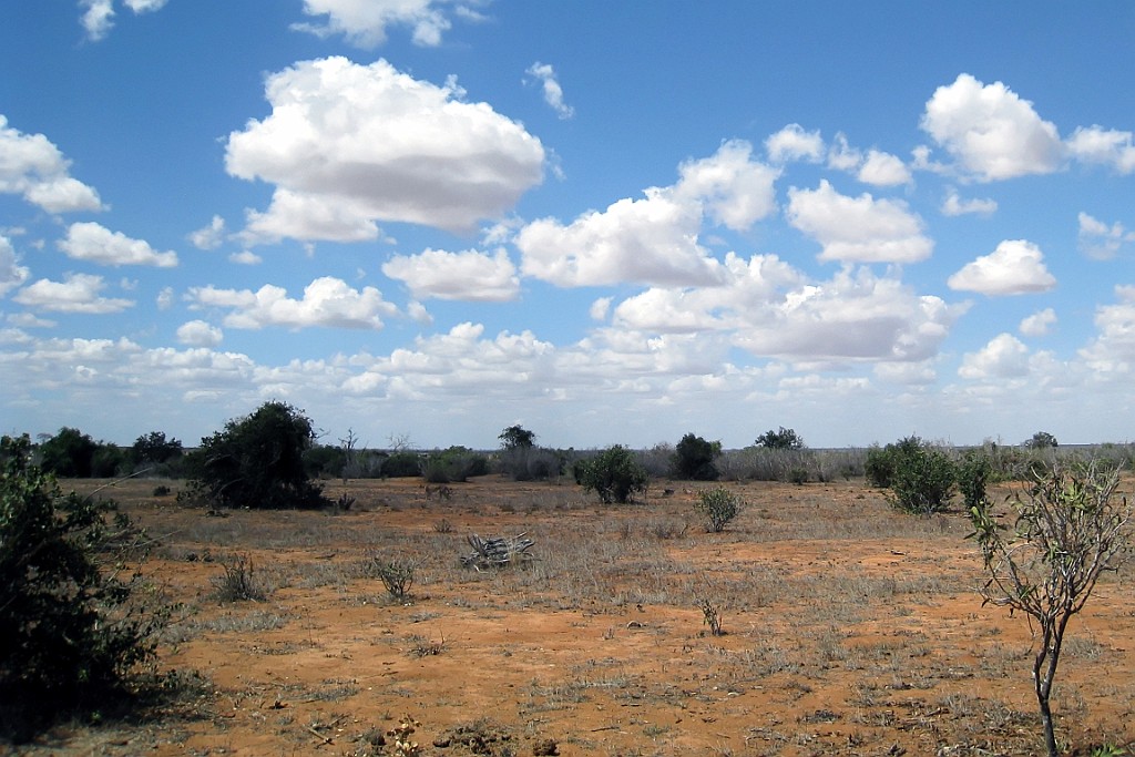 Kenia (286).jpg